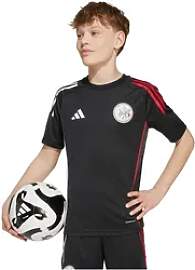 adidas Ajax Amsterdam Competition Trainingstrikot