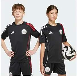 adidas Performance Fußballtrikot AJAX TIRO 25