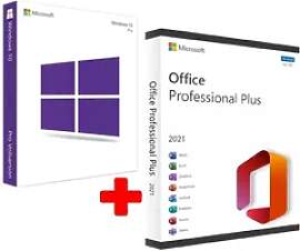 Microsoft Office 2021 Professional Plus &