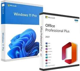 Microsoft Office 2021 Professional Plus &