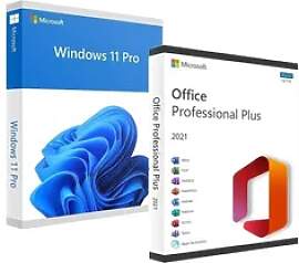 Microsoft Office 2021 Professional Plus &