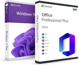 Microsoft Office 2024 Professional Plus &