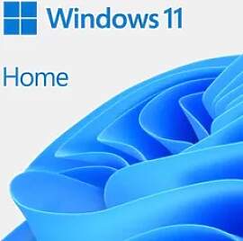 Microsoft Windows 11 Home 64 bit
