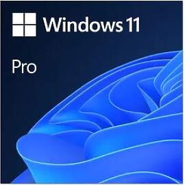 Microsoft Windows 11 Professional | Download (ESD)