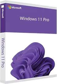 Windows 11 Pro | So­fort­down­load